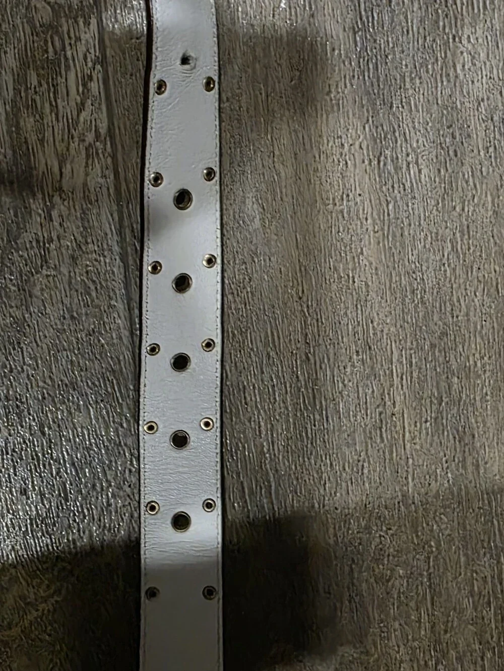 Coach Belt